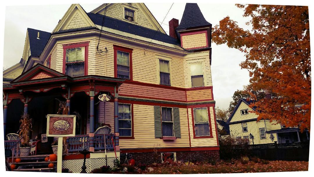 Tea Rose Inn At Plymouth, Nh المظهر الخارجي الصورة