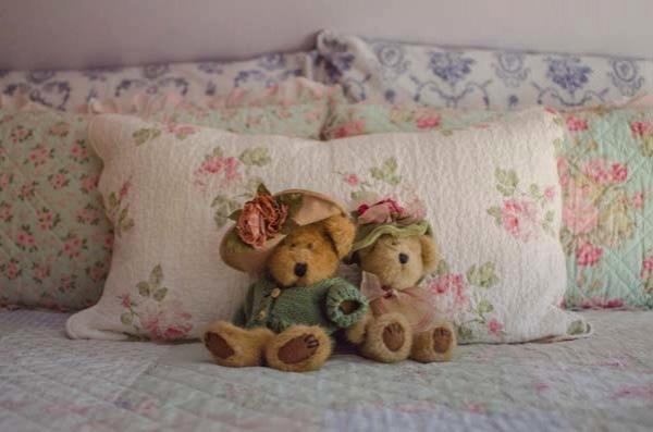 Tea Rose Inn At Plymouth, Nh المظهر الخارجي الصورة